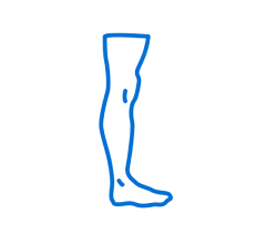 Full Leg