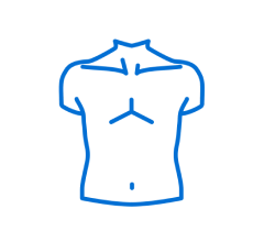 Torso